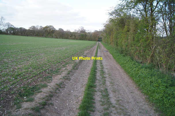 Photo 6"x4" Byway towards Whitnal Cole Henley c2014