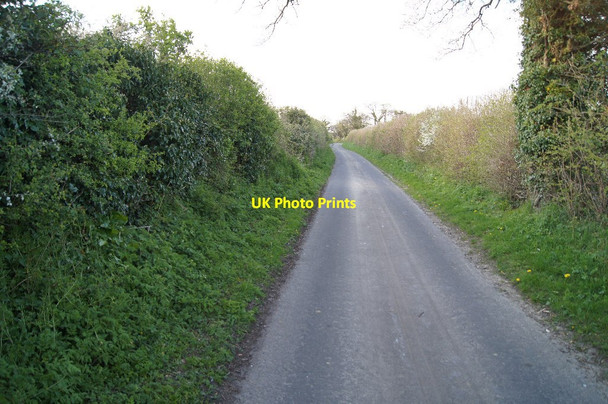 Photo 6"x4" View north - Twinley Lane Cole Henley c2014