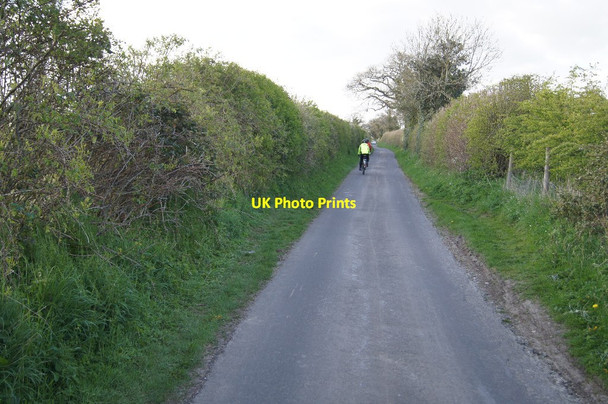 Photo 6"x4" Heading up Twinley Lane Cole Henley c2014