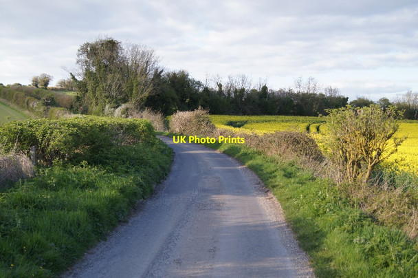 Photo 6"x4" Curves in Twinley Lane Cole Henley c2014