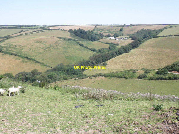 Photo 6"x4" Fields above Longlands Farm Bugford c2014