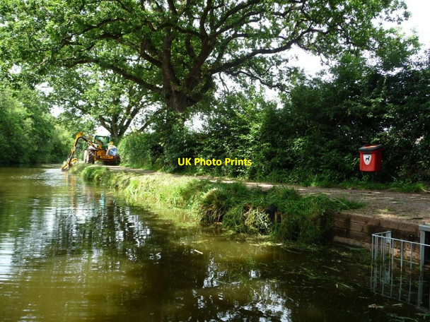 Photo 6"x4" Towpath and mower, Grand Western Canal Tiverton\/SS9512 c2014