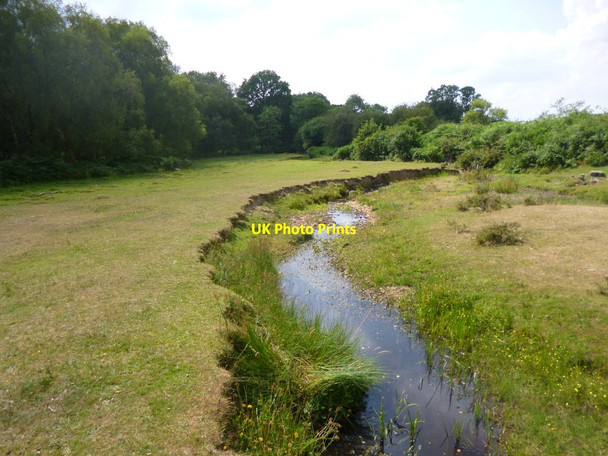 Photo 6"x4" Holly Hatch, Dockens Water Ogdens c2014