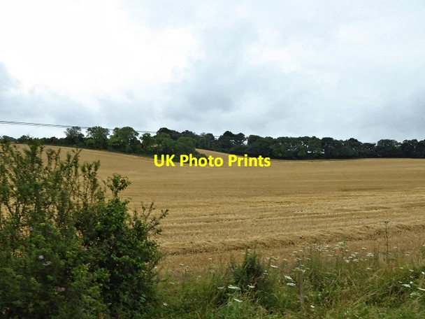 Photo 6"x4" Farmland East of Alresford Viewed from the Watercress Line Bishop's Sutton c2014