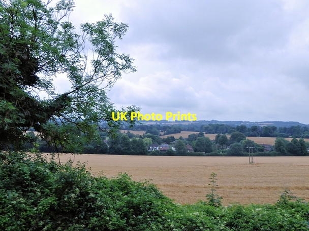 Photo 6"x4" Field North of Ropley Station North Street\/SU6433 c2014