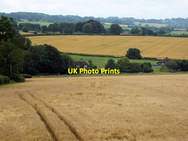 Photo 6"x4" View from the Watercress Line North Street\/SU6433 c2014