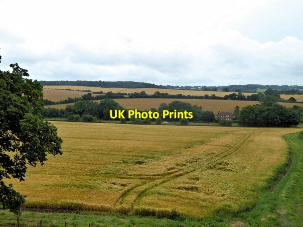 Photo 6"x4" Farmland near North Street North Street\/SU6433 c2014