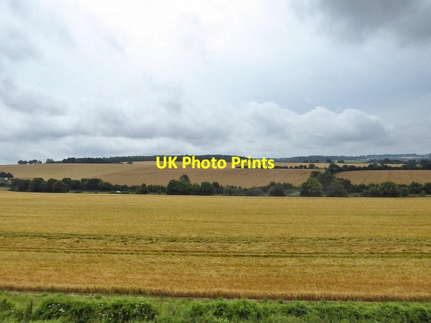 Photo 6"x4" Looking South from the Watercress Line North Street\/SU6433 c2014