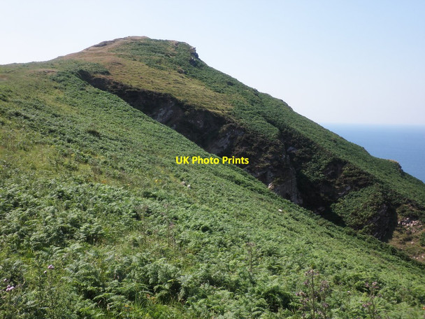 Photo 6"x4" Little Hangman Combe Martin c2014