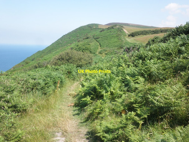 Photo 6"x4" Path to Great Hangman Combe Martin c2014