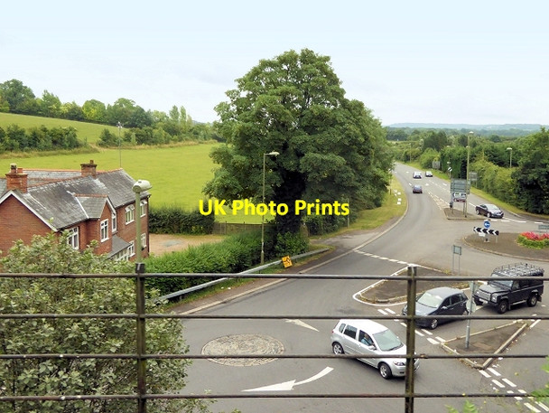 Photo 6"x4" Traffic Island on Selborne Road Alton\/SU7139 c2014
