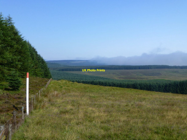 Photo 6"x4" Mist bank Edlingham c2014