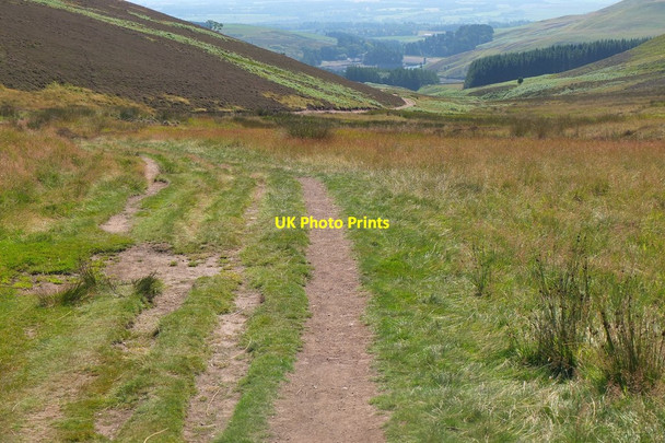 Photo 6"x4" Path in Maiden's Cleugh Torphin c2014