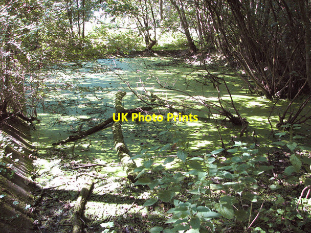 Photo 6"x4" Old settlement tank Haveringland c2014