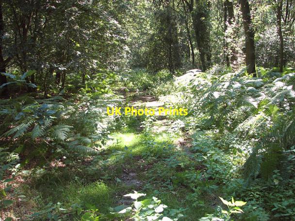 Photo 6"x4" Concrete road in Great Wood Haveringland c2014