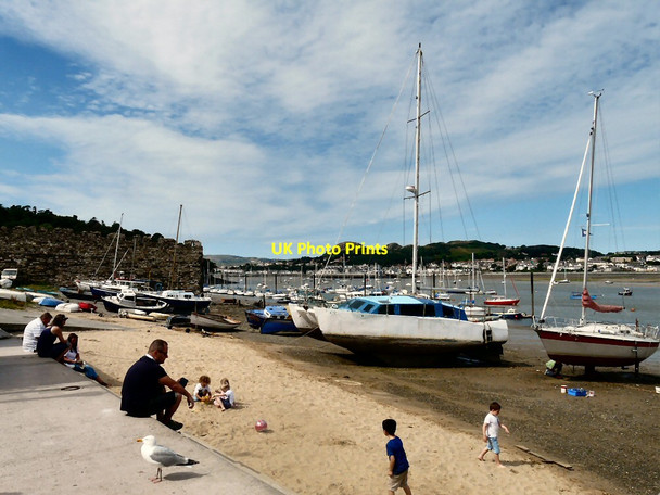 Photo 6"x4" Conwy Quay and Marina Conwy c2014
