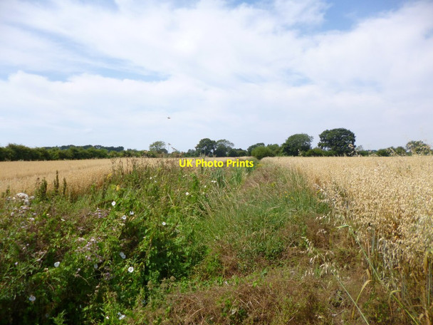 Photo 6"x4" Appledram, dried-up ditch Chichester c2014