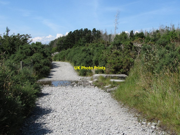 Photo 6"x4" A ford on the Trassey Track Kilcoo c2014
