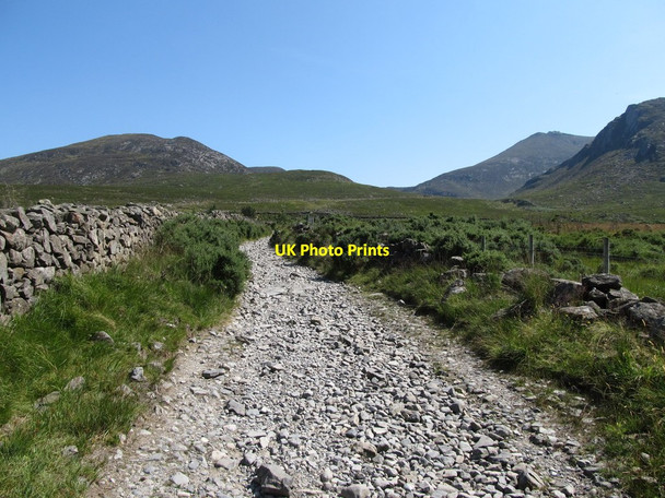 Photo 6"x4" View southwards along the Trassey Track towards the open mountain Kilcoo c2014
