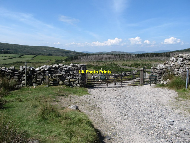 Photo 6"x4" Approaching the mountain gate on the Trassey Track Kilcoo c2014