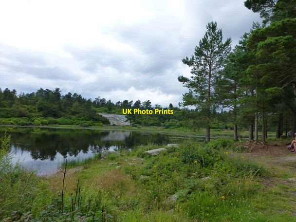 Photo 6"x4" Nelly Moss North Lake Knocklaw c2014