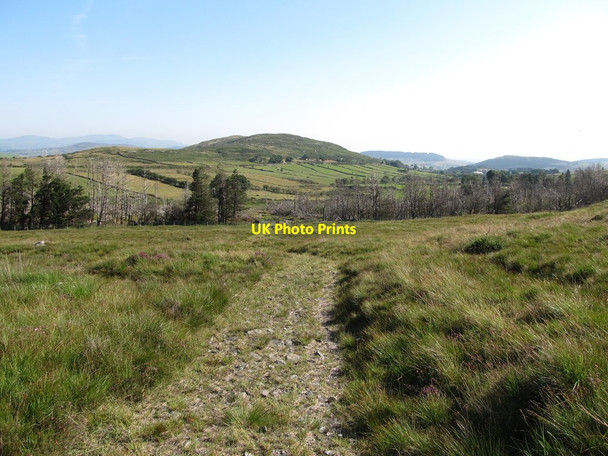 Photo 6"x4" Track from Fofanny Dam Reservoir descending towards Fofannyreagh Wood Kilcoo c2014