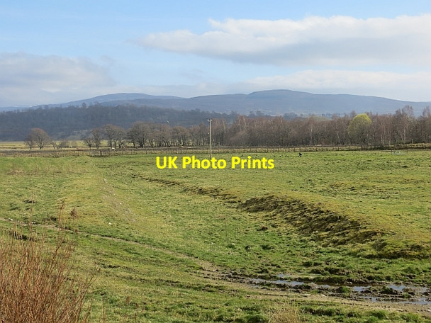 Photo 6"x4" Spey floodplain, Auchlarie Kingussie c2014