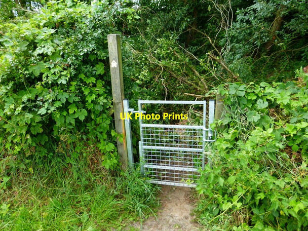 Photo 6"x4" Gate into woodland Pirbright c2014