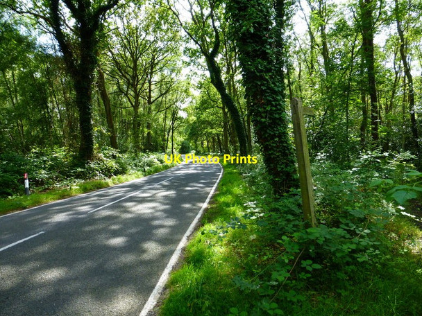Photo 6"x4" Bridleway leads off Goose Rye Road Fox Corner\/SU9654 c2014