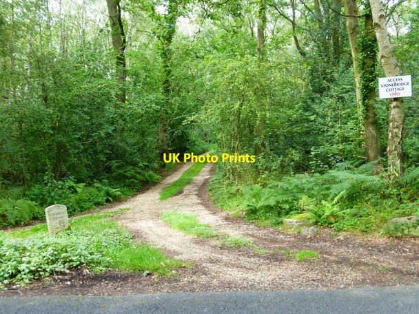 Photo 6"x4" Drive to Stonebridge Cottage leads off Goose Rye Road Fox Corner\/SU9654 c2014