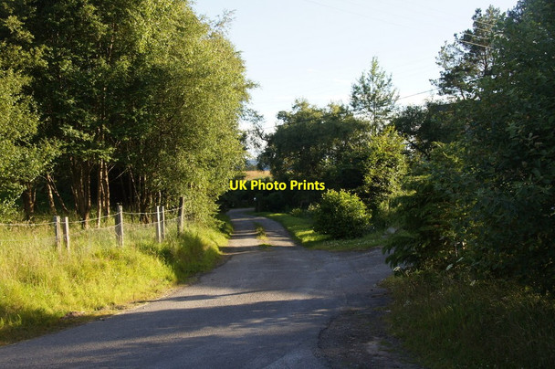Photo 6"x4" Private track at the end of Embo Street Dornoch c2014