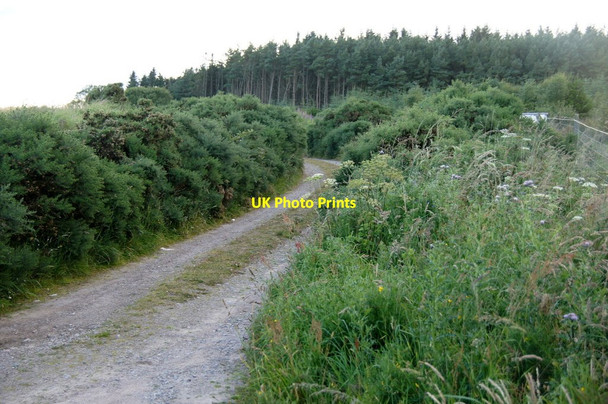 Photo 6"x4" Track into Duchess Countess Plantation, Embo Embo c2014