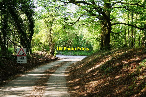 Photo 6"x4" Resurfacing rural lanes Cole Henley c2014
