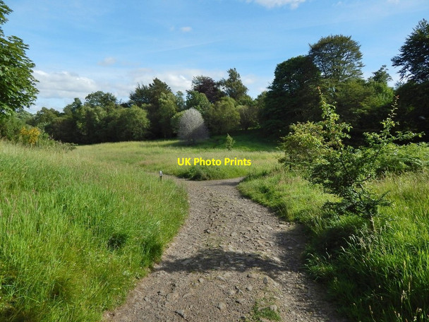 Photo 6"x4" Paths in Mugdock Country Park Mugdock c2014