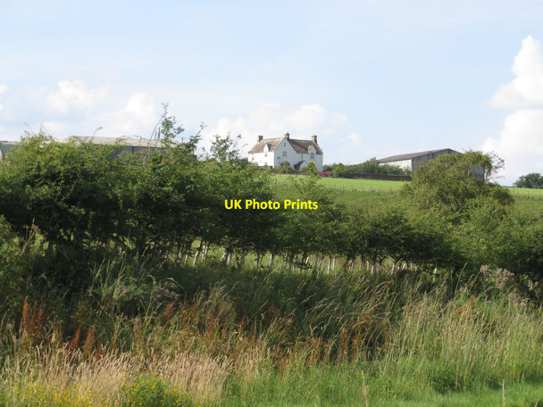 Photo 6"x4" Acton Farm Blanchland c2014