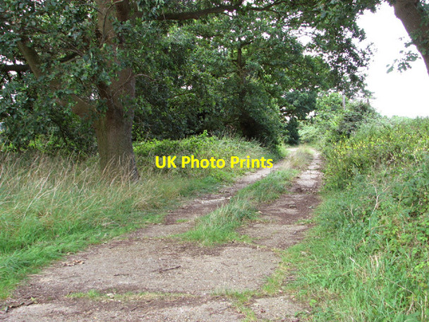 Photo 6"x4" Track into the Sub-ordnance depot site Bush Green\/TM0298 c2014