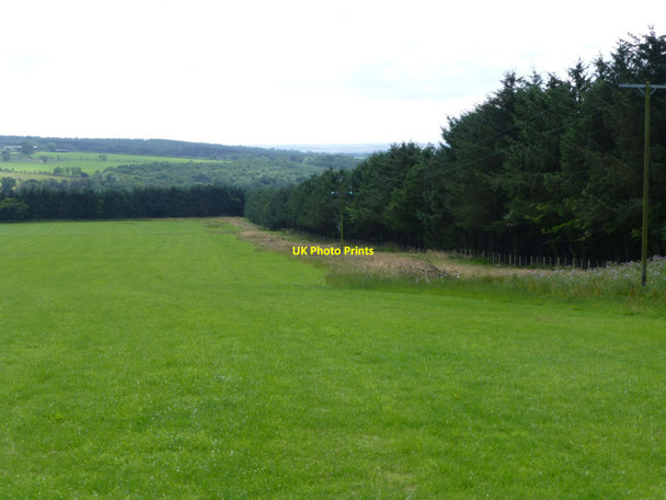 Photo 6"x4" Hay field at Snook Bank Glantlees c2014