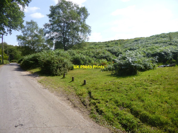 Photo 6"x4" Godshill, Hart Hill Godshill\/SU1714 c2014