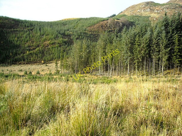 Photo 6"x4" Loch Ard Forest Kinlochard c2008