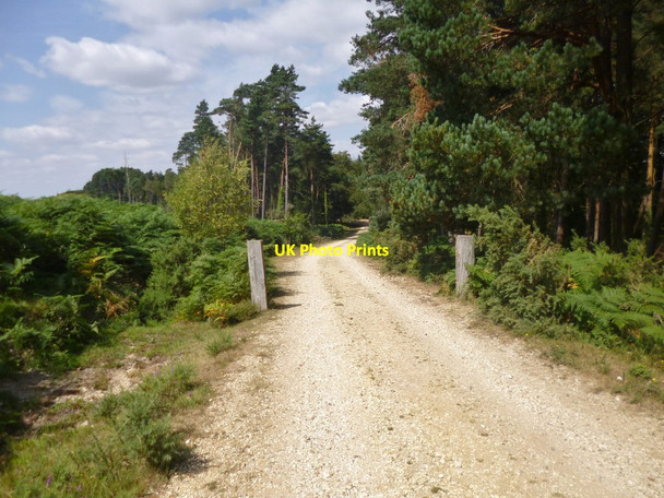 Photo 6"x4" Pitts Wood Inclosure, disused gateway Godshill\/SU1714 c2014