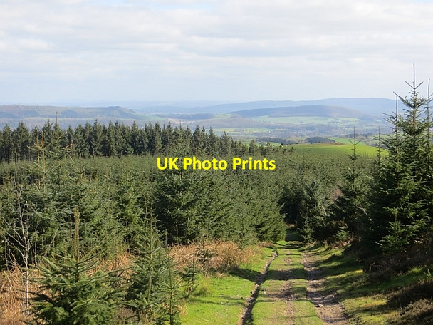 Photo 6"x4" Track above Churchmoor Hamperley c2014