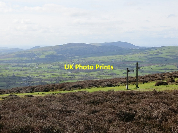 Photo 6"x4" Long Mynd signposts Handless c2014