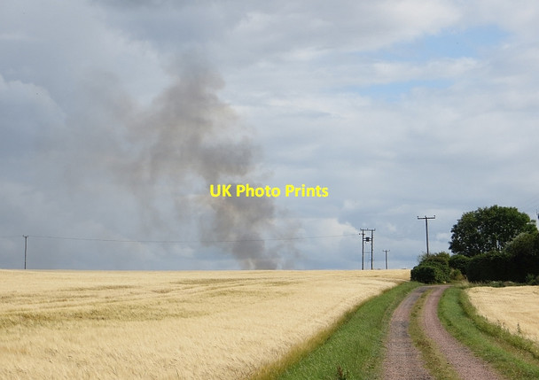 Photo 6"x4" Barley, North Berwick North Berwick c2014