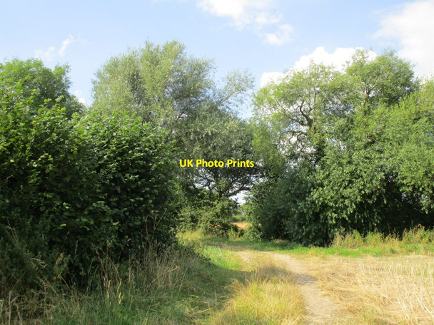 Photo 6"x4" Junction of paths Fenwick\/SE5916 c2014