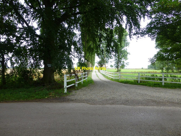 Photo 6"x4" The poplar lined drive to Larkhill Farm Irlam c2014