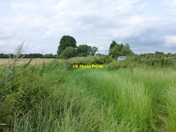 Photo 6"x4" Overgrown footpath on Cadishead Moss Irlam c2014