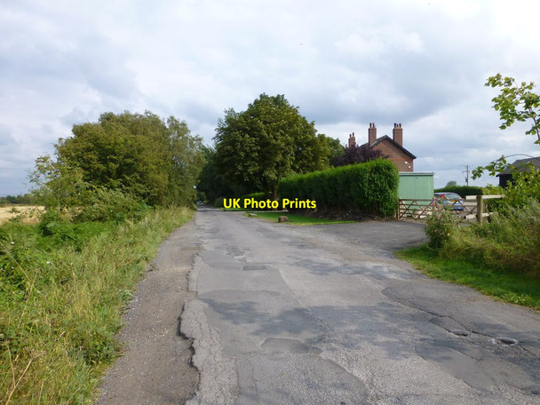 Photo 6"x4" Rose Farm on Astley Road Irlam c2014