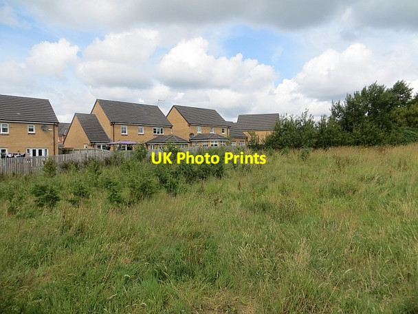 Photo 6"x4" Callaghan Crescent Braehead\/NS5955 c2014