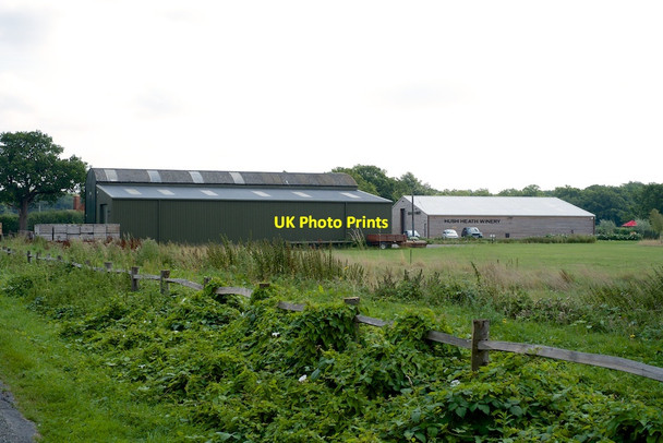Photo 6"x4" Hush Heath Winery Five Oak Lane Marden Thorn c2014