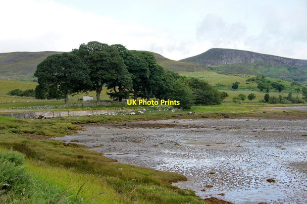 Photo 6"x4" Loch Fleet at Cambusbavie Badninish c2014